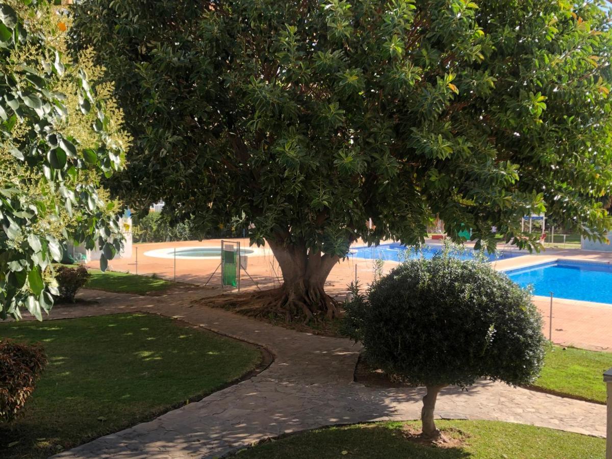 Estudio Vacacional Benalmadena Playa Εξωτερικό φωτογραφία